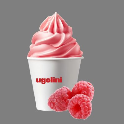 Суміш для морозива і сорбету Малина 1150 г