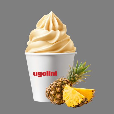 Смесь для мороженого и сорбета Ананас 1150 г